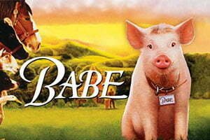 babe 1995 Babe 1995 &#8211; Sinhala Dubbed Movie 09